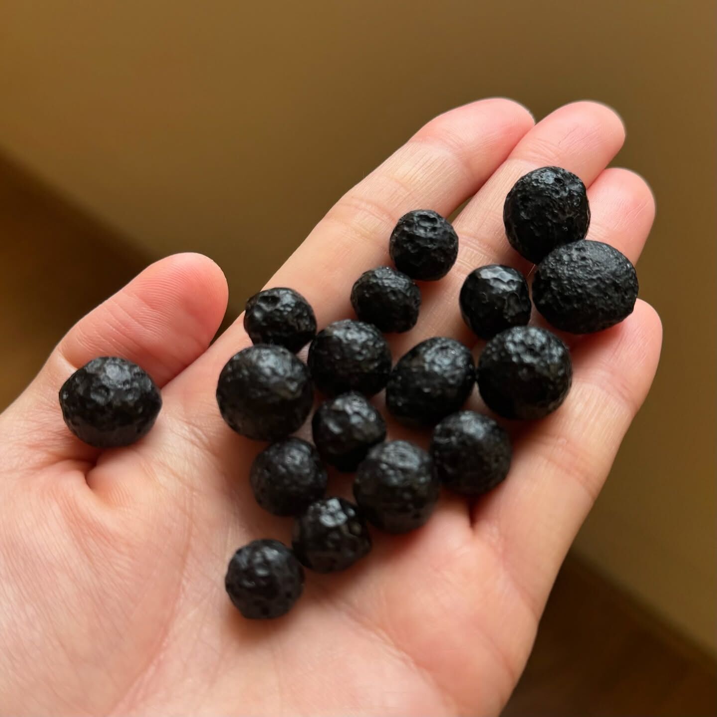 [原石] 墨西哥黑隕石 8-10mm