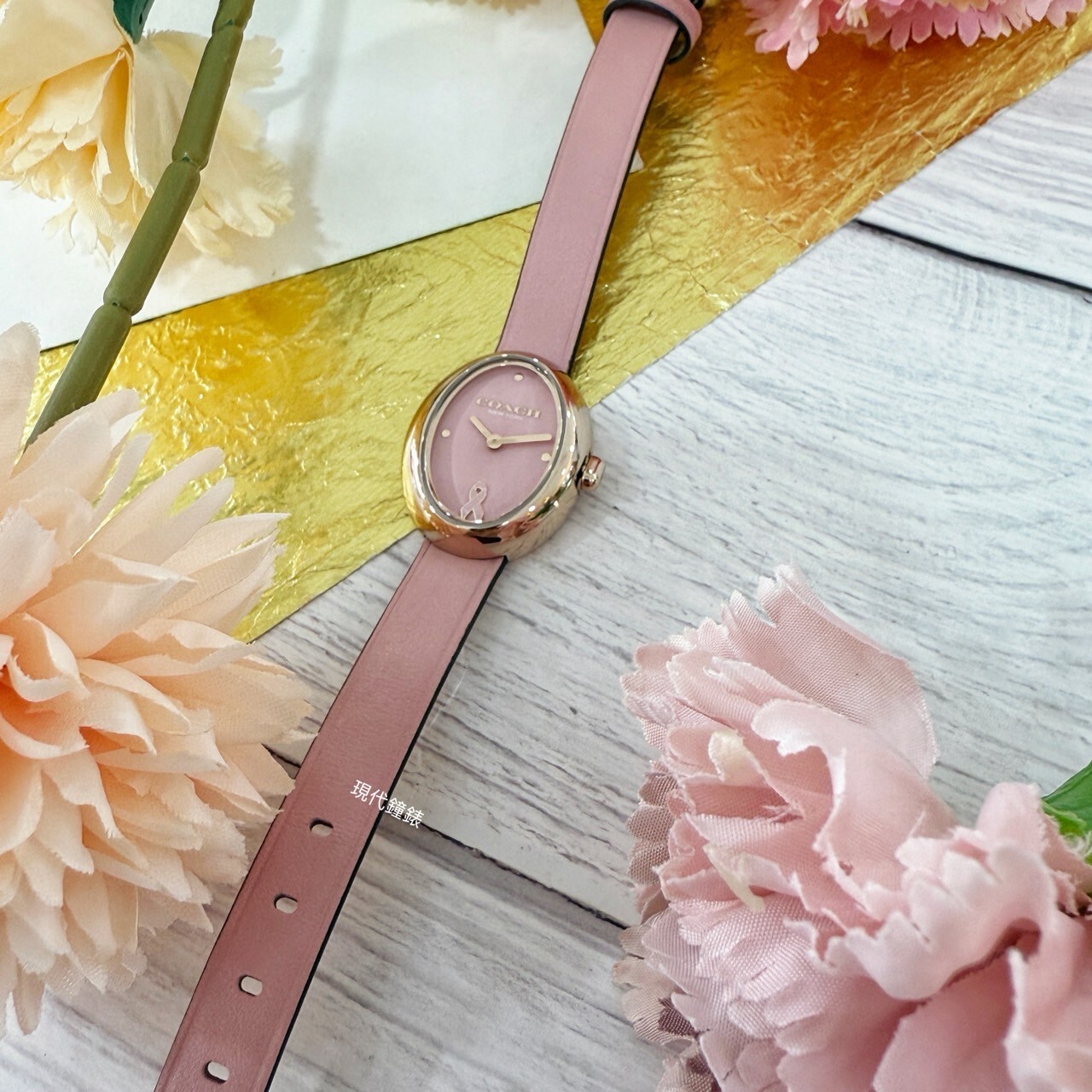 【COACH】 Sammy BCA粉紅絲帶紀念錶CO14504565 22mm 現代鐘錶