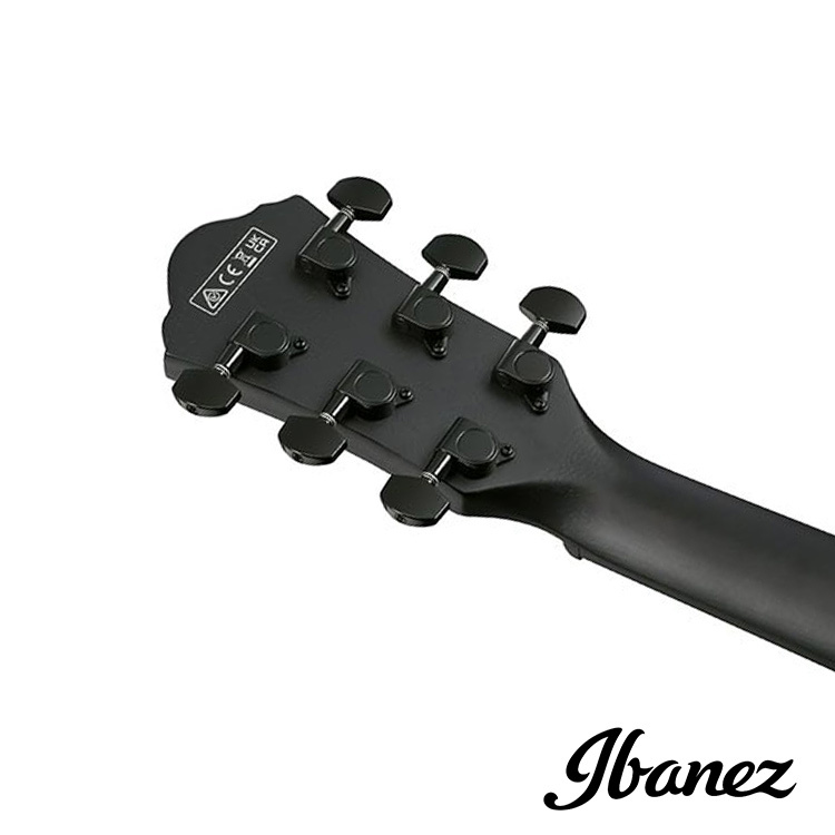 Ibanez AEWC621 BOT 電木吉他