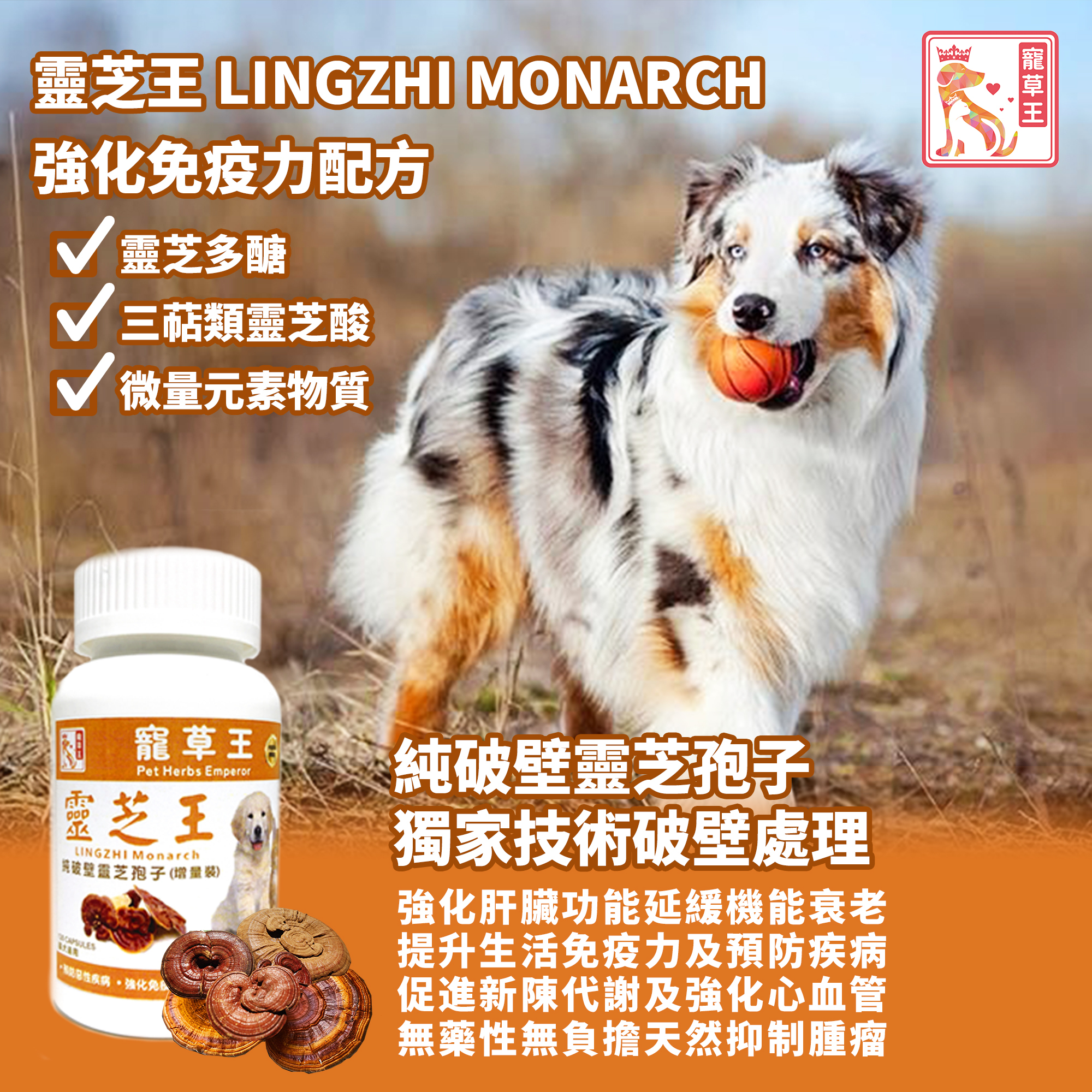 寵草王 - 靈芝王120粒裝膠囊 (貓狗適用)
