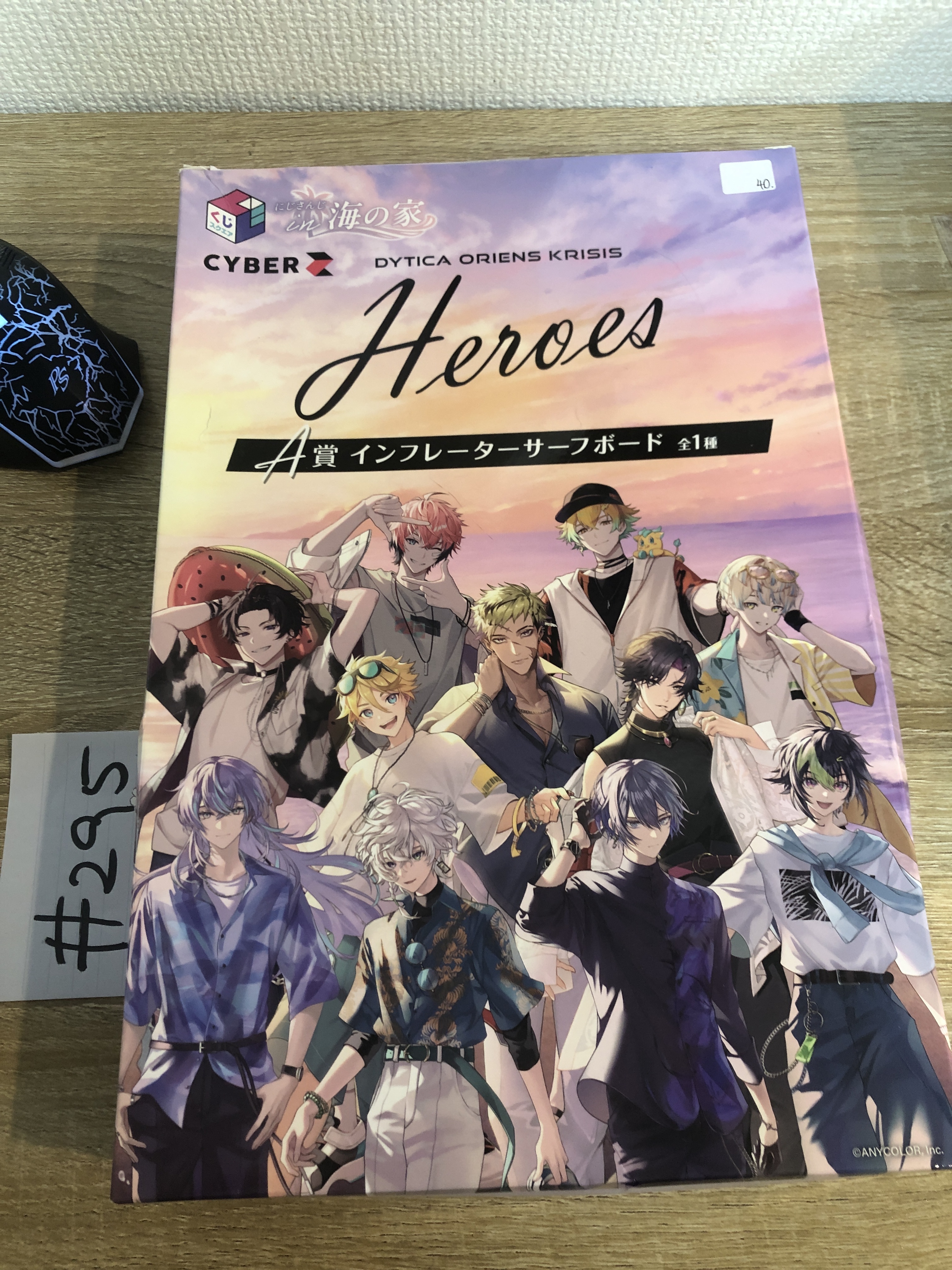 彩虹社 浮板#295