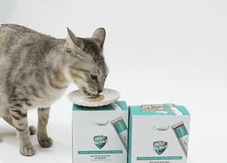 Signatureby StomoAct 貓咪潔齒肉泥