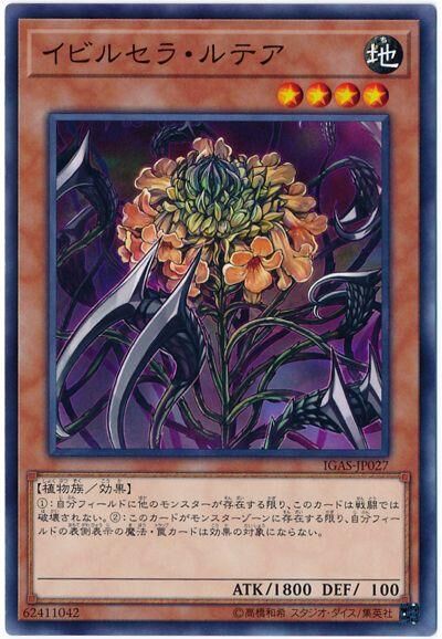 IGAS-JP027  イビルセラ・ルテア (惡爪之花)