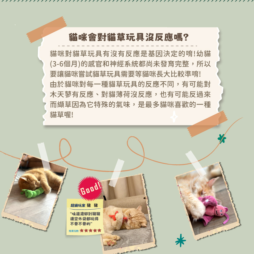 Aumüller 奧咪樂｜德國貓草玩具 貓草包 (毛毛雪貂 快樂搖擺鵝 粉紅小海星)