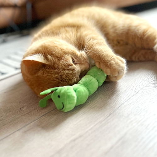 Aumüller 奧咪樂｜德國貓草玩具 貓草包 (毛毛雪貂 快樂搖擺鵝 粉紅小海星)