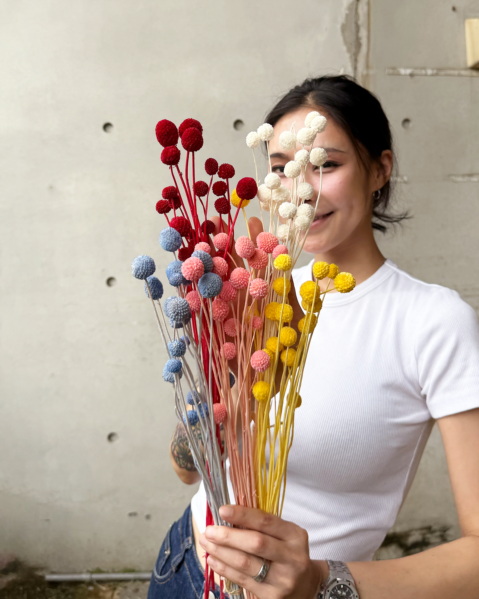 乾燥迷你金仗球