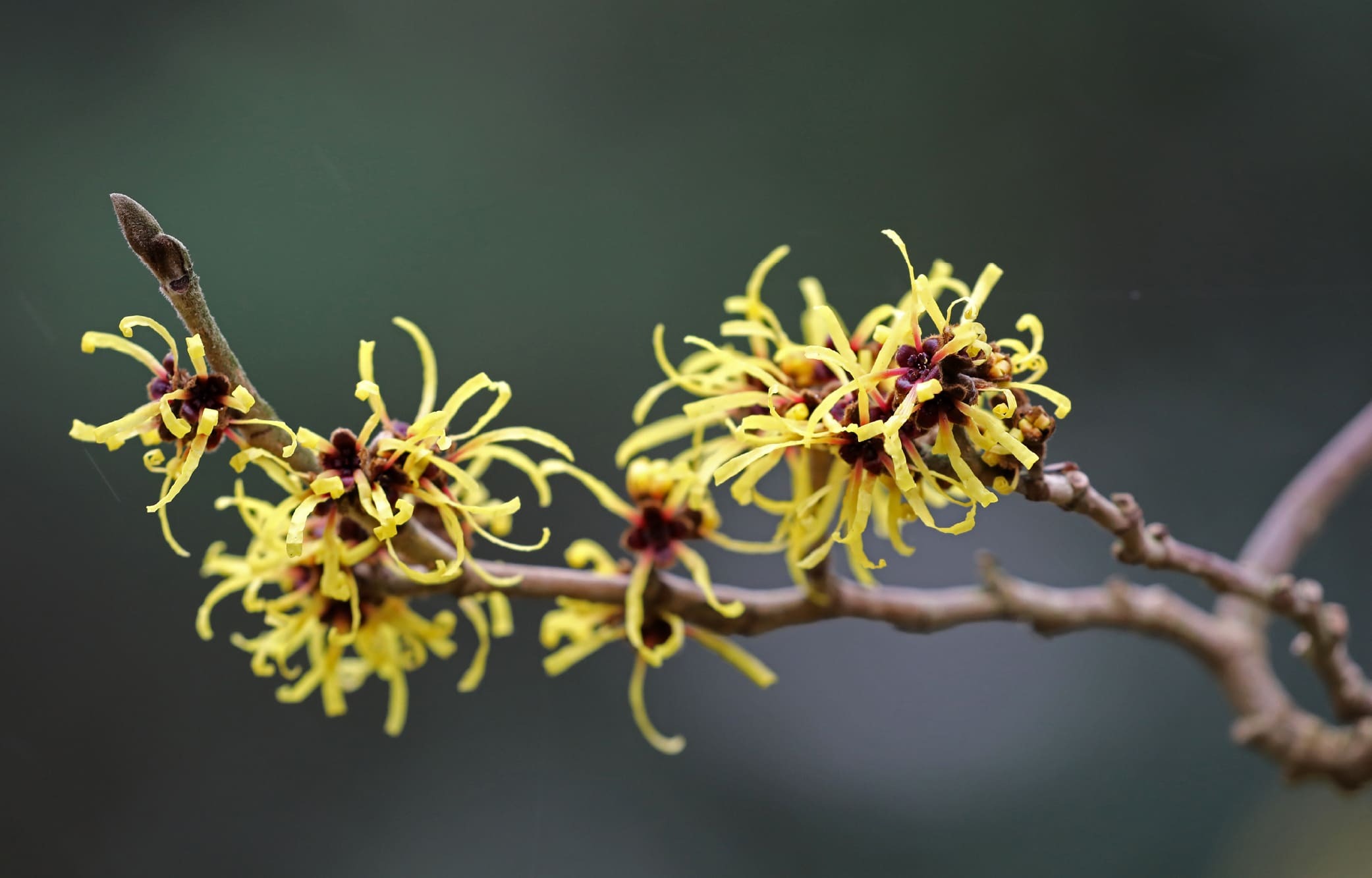 抑制油光，賦予穩定的平衡