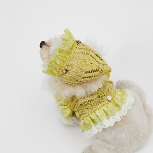 Louisdog Soleil 花園鉤針蕾絲帽