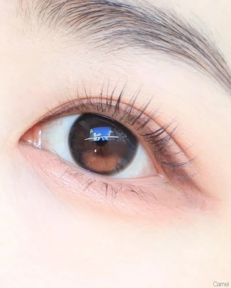 FiPN x 狐狸遊戲 Foxie 1 Month Camel｜月拋彩妝隱形眼鏡｜每盒2片