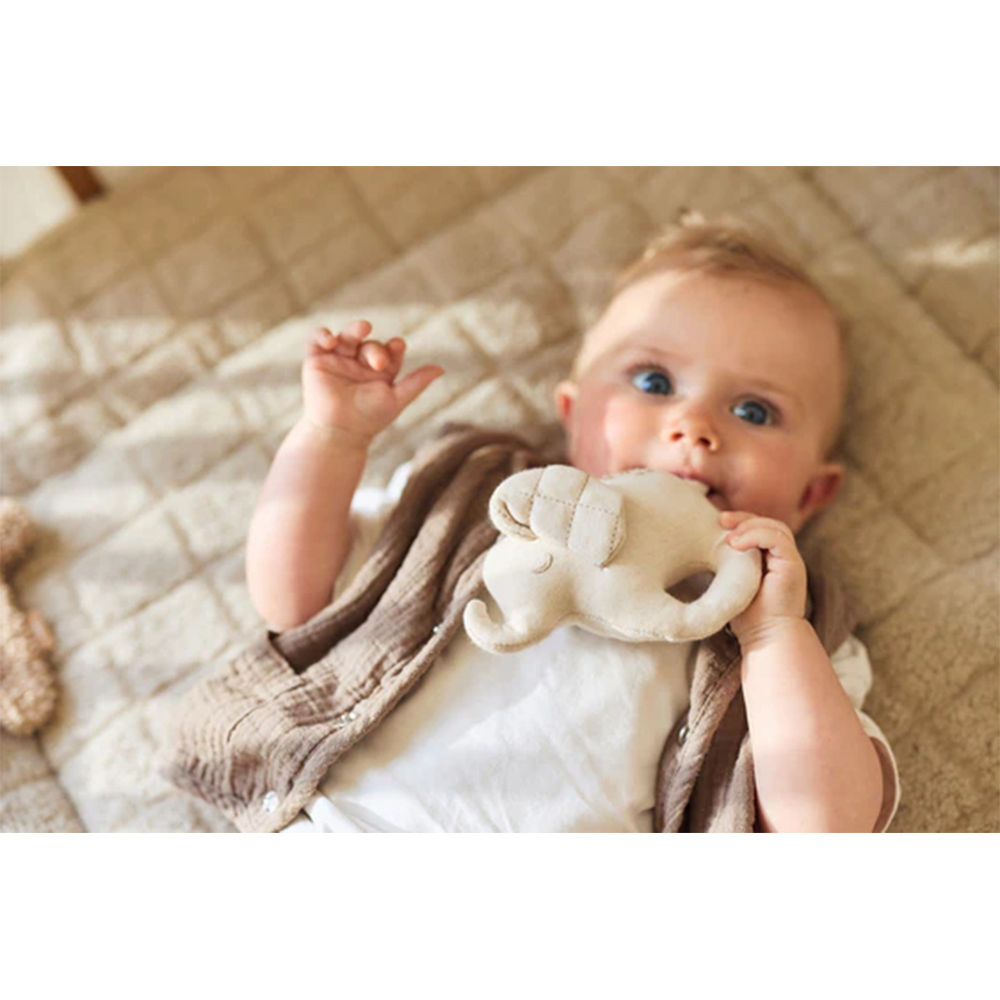 荷蘭Jollein 大象手搖鈴