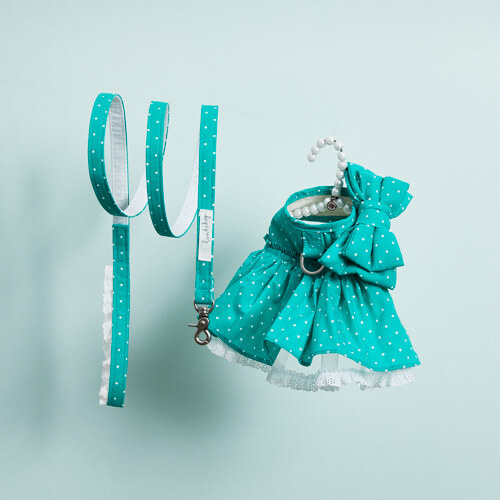 Louisdog 綠野仙蹤波點胸背組