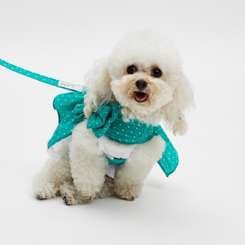 Louisdog 綠野仙蹤波點胸背組