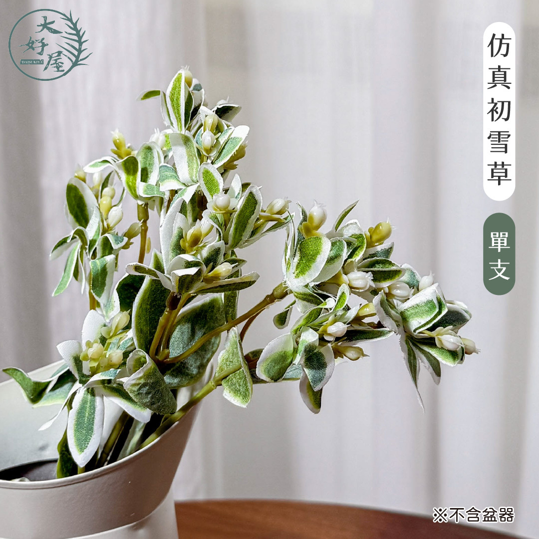 仿真初雪草(銀邊翠、高山積雪)