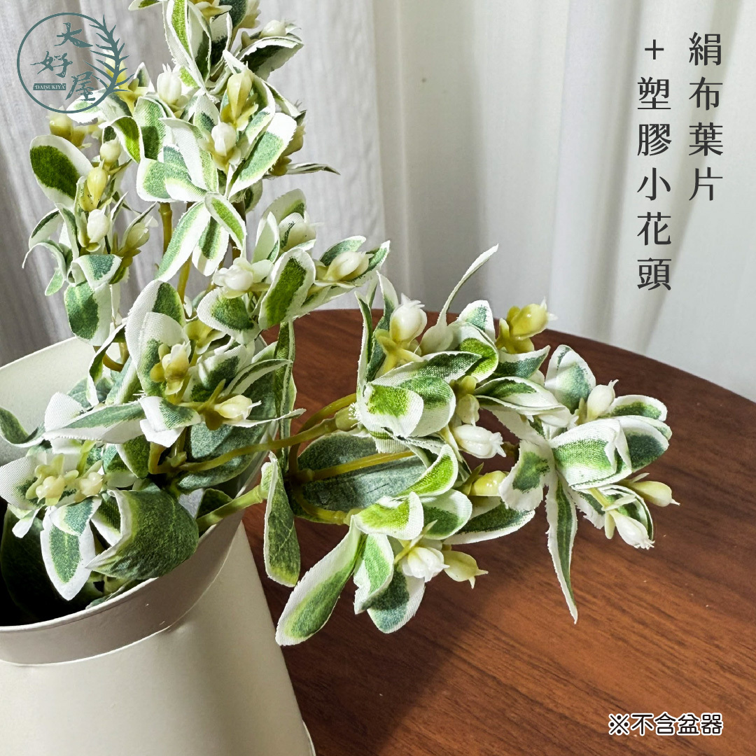 仿真初雪草(銀邊翠、高山積雪)