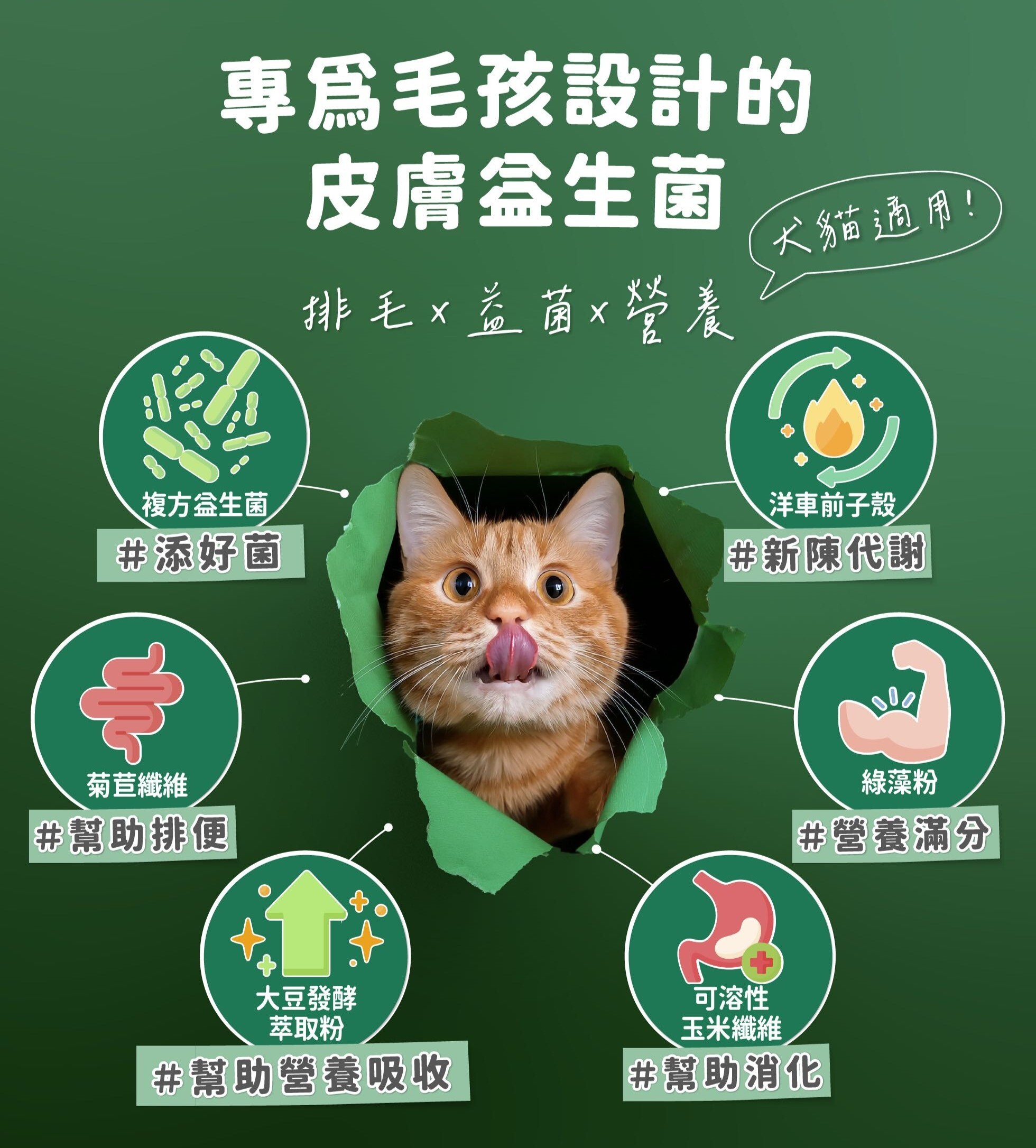 依鈦-寵物益生菌 護膚爆毛益生菌 消化排毛保健益生菌(單條/盒裝)