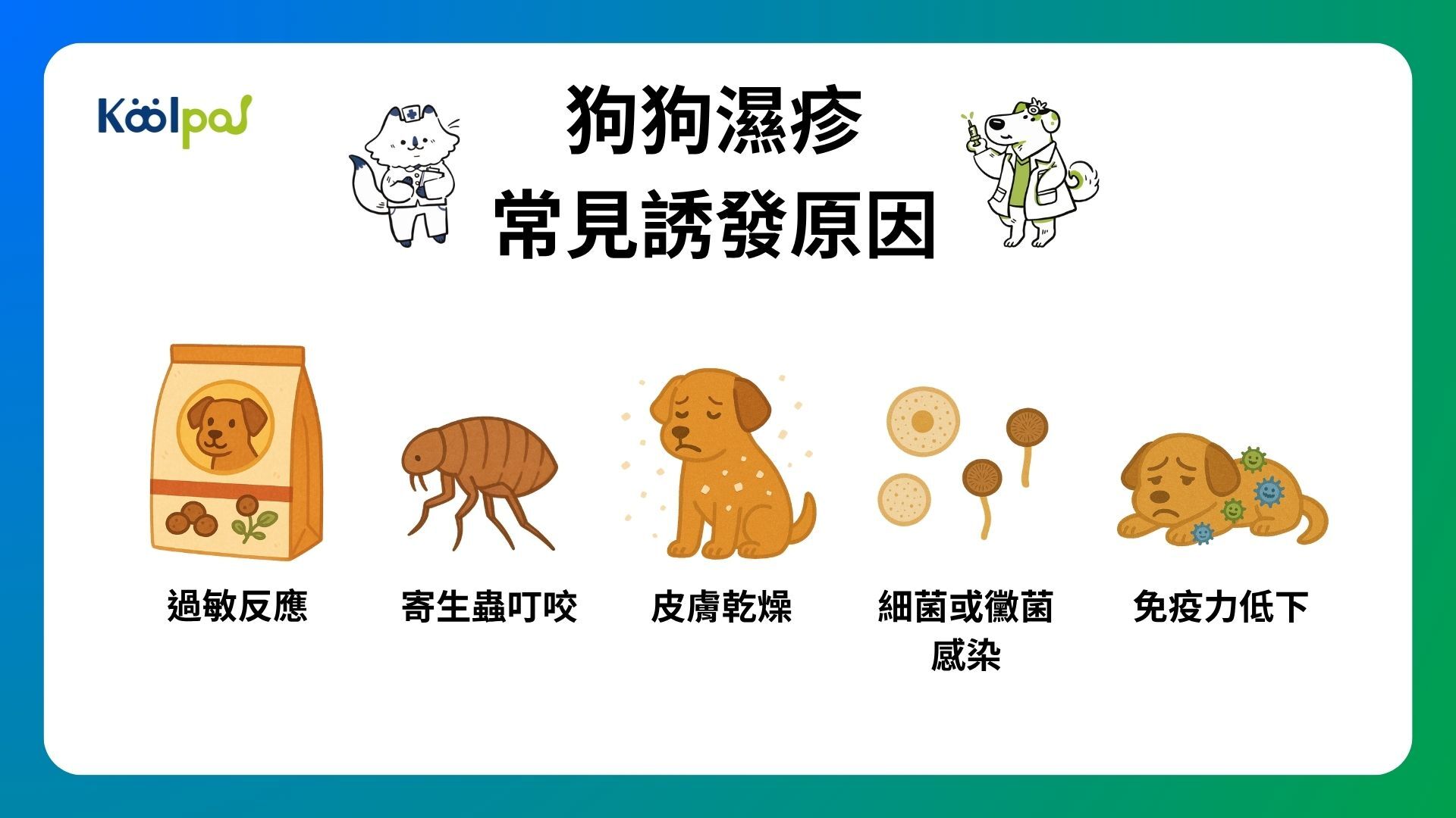 狗狗濕疹常見誘發原因