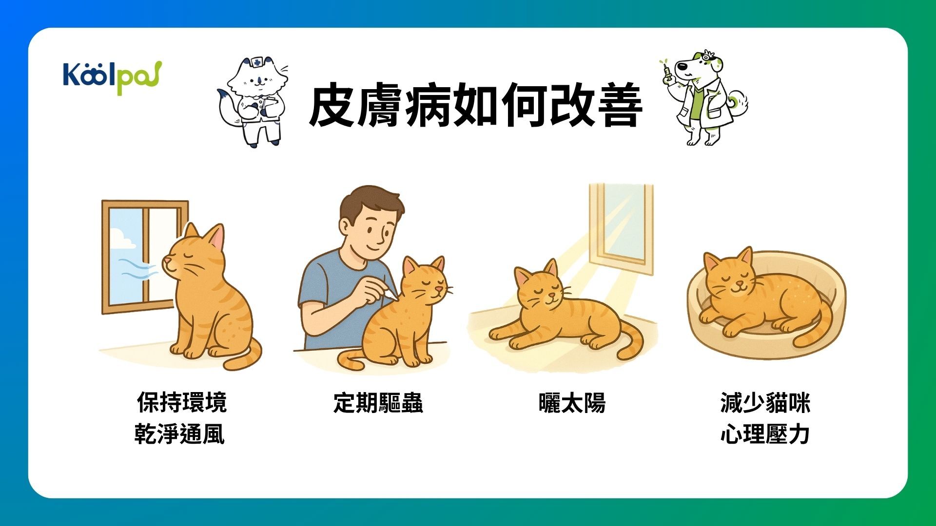 貓咪皮膚病如何改善