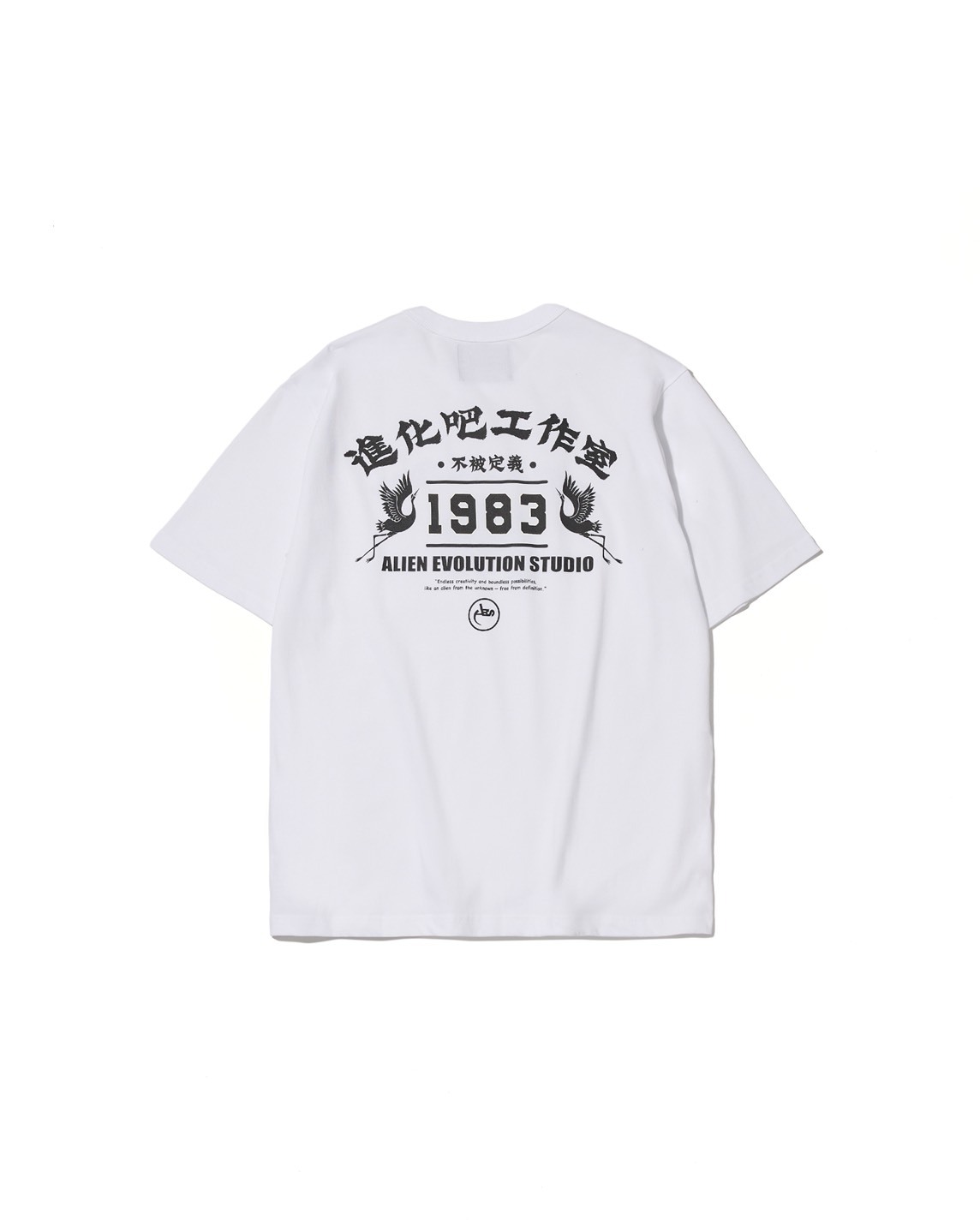 AES UNCLASSIFIABLE TEE