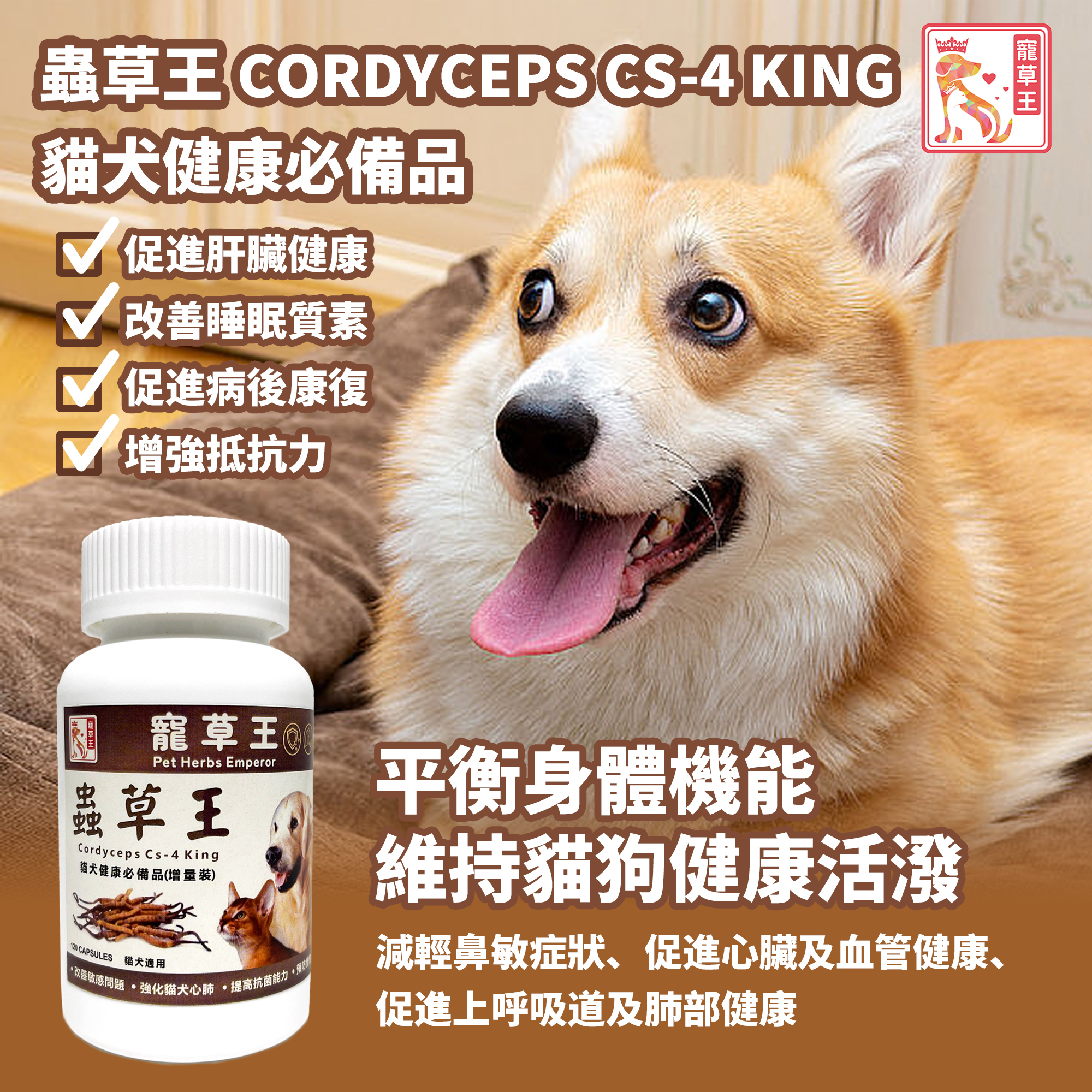 寵草王 - CS-4蟲草王120粒裝膠囊 (貓狗適用)