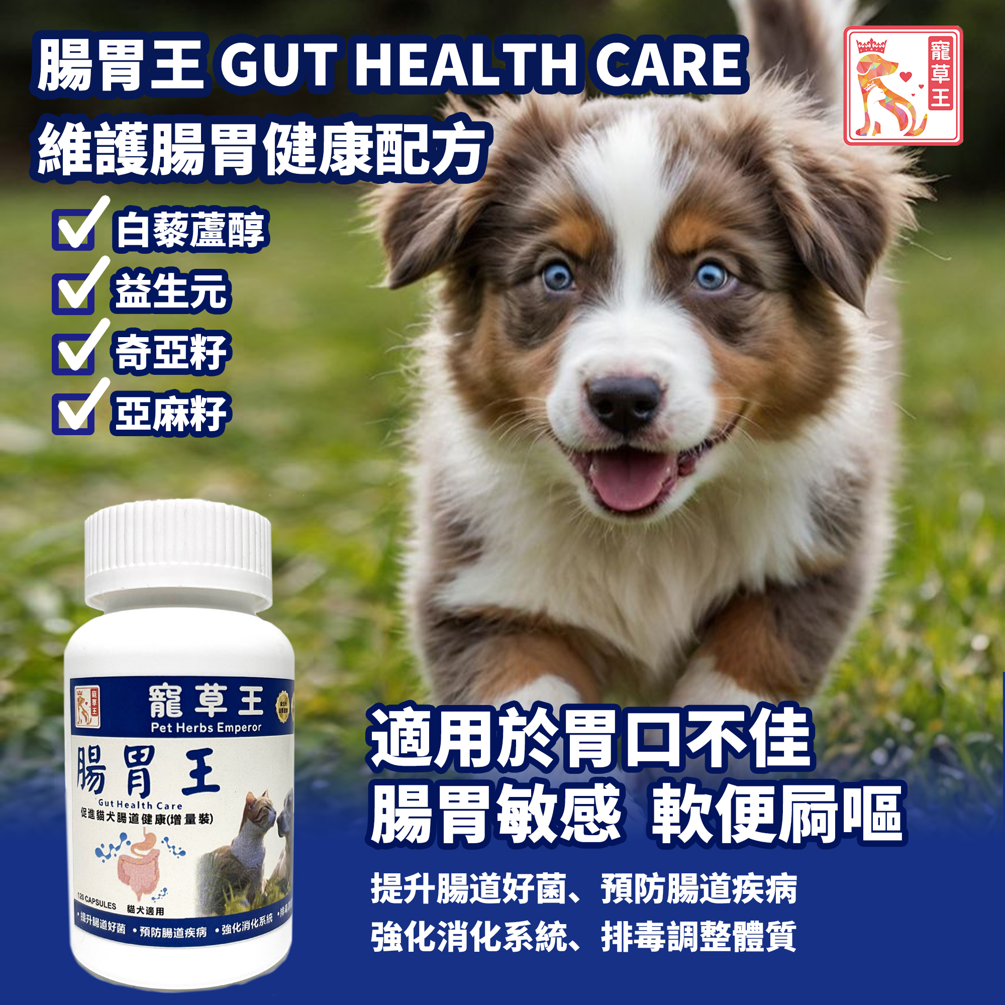 寵草王 - 腸胃王120粒裝膠囊 (貓狗適用)