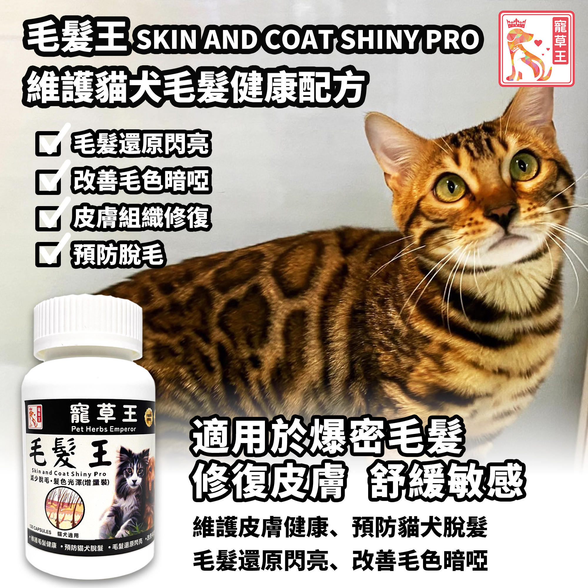寵草王 - 毛髮王120粒裝膠囊 (貓狗適用)