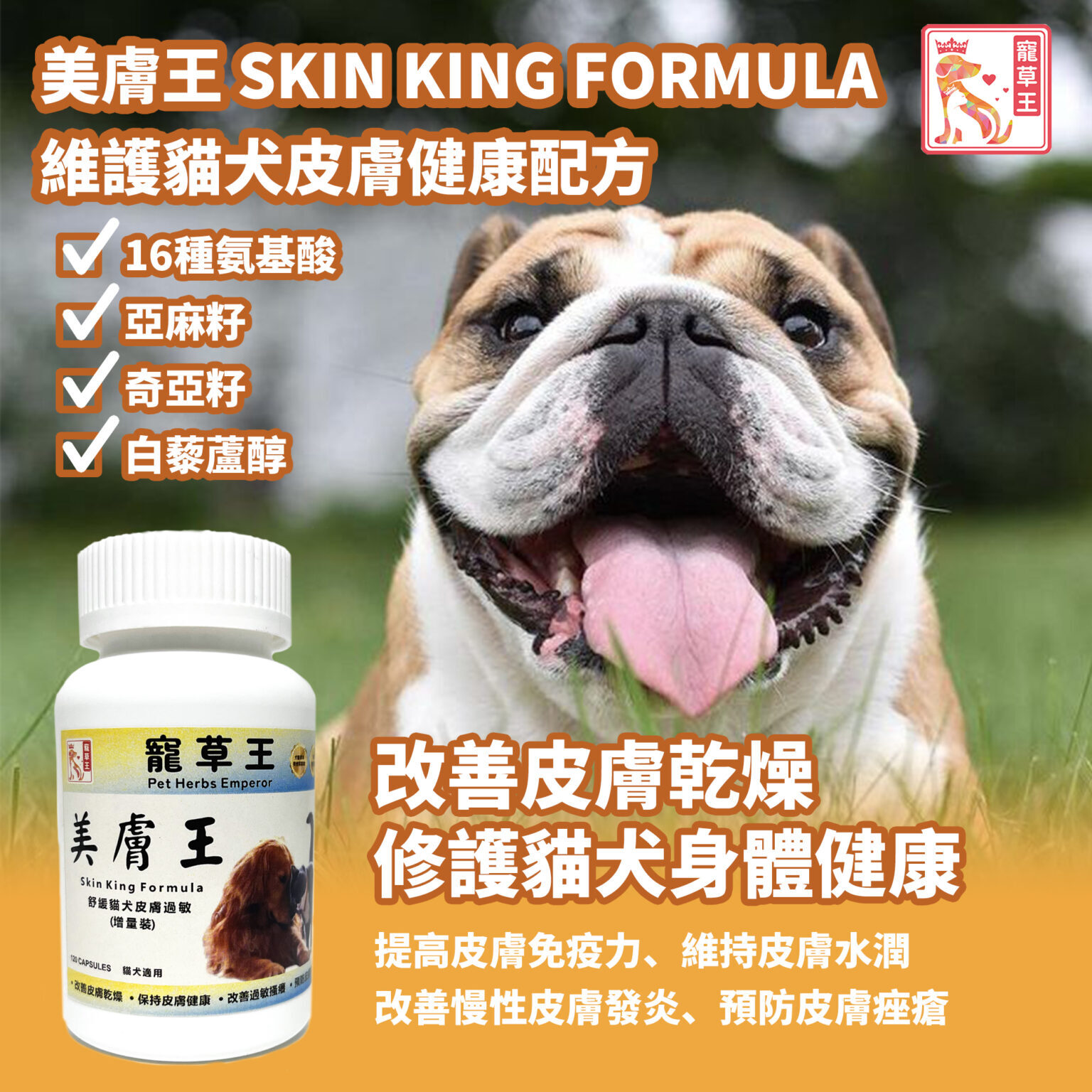 寵草王 - 美膚王120粒裝膠囊 (貓狗適用)