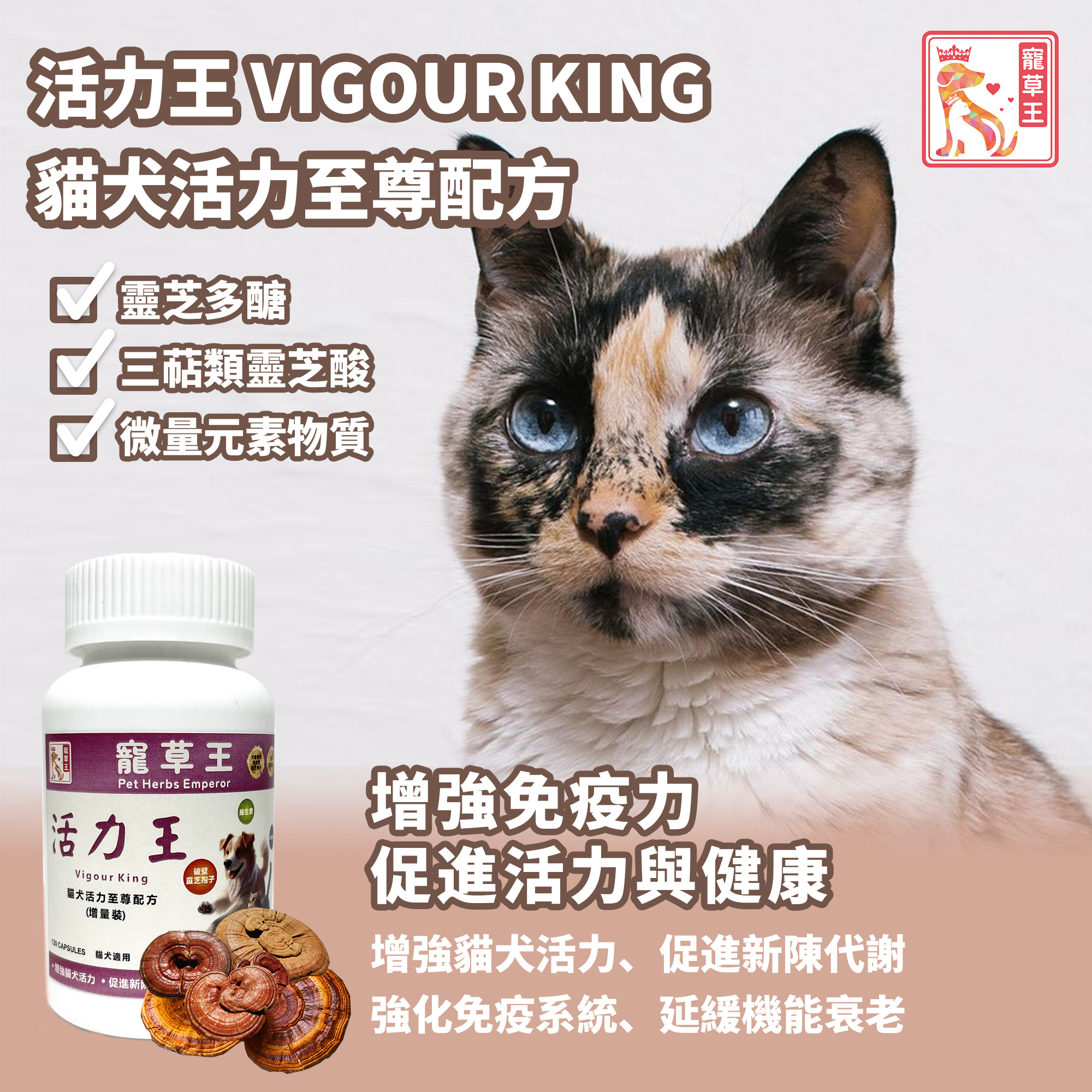 寵草王 - 活力王120粒裝膠囊 (貓狗適用)