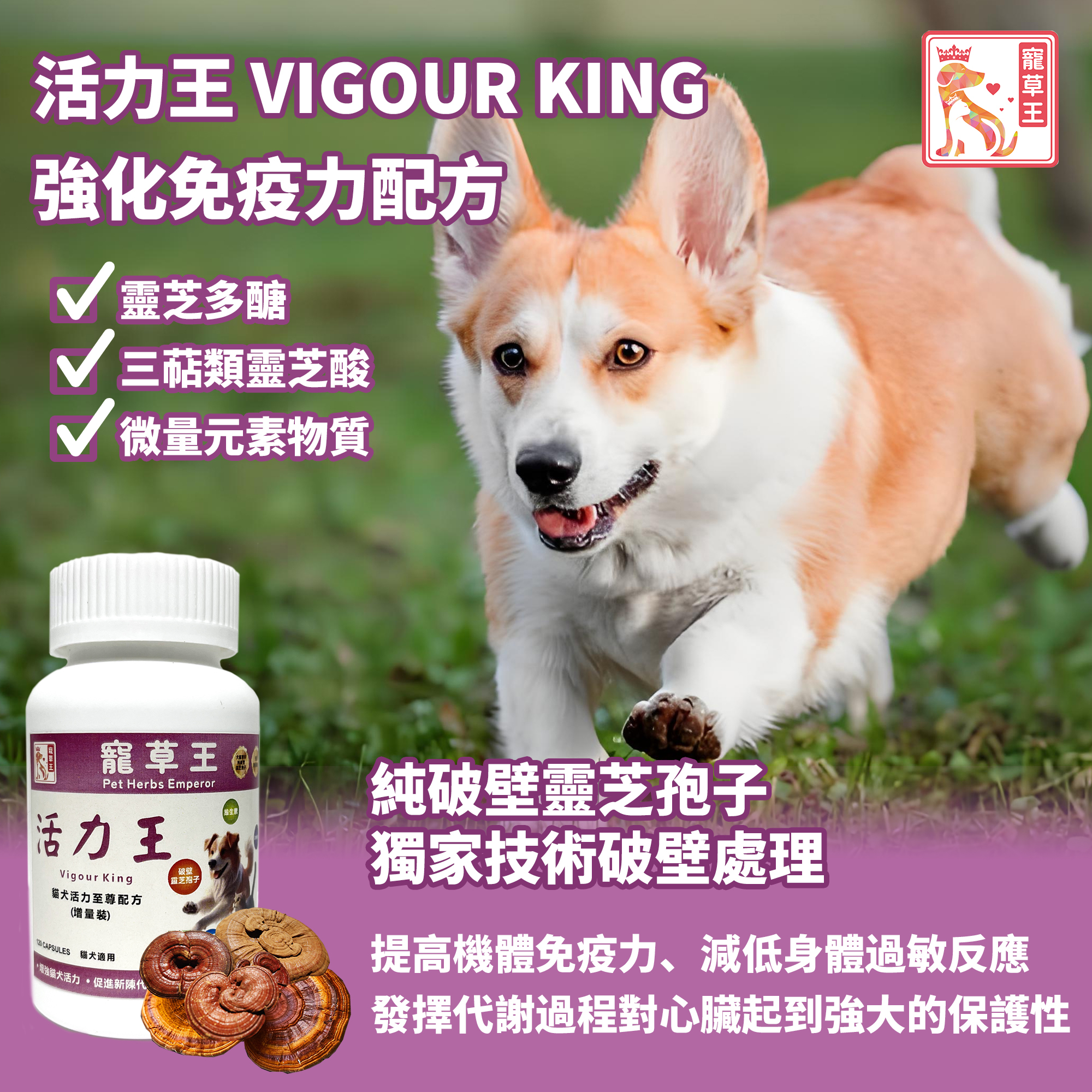 寵草王 - 活力王120粒裝膠囊 (貓狗適用)