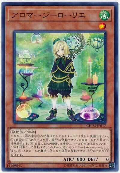 CHIM-JP017 アロマージ－ローリエ (芳香法師-月桂葉)