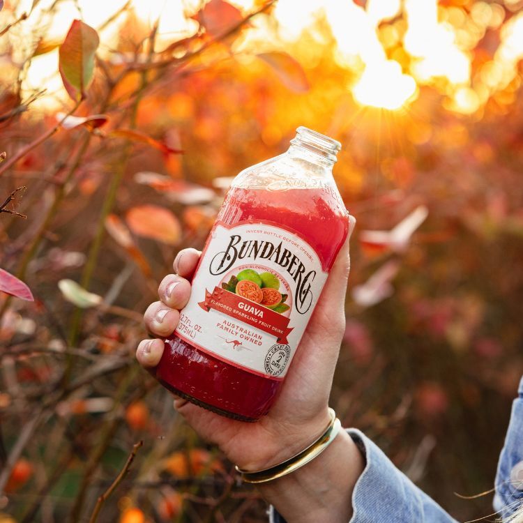 【6入/箱】單一口味紅心芭樂組