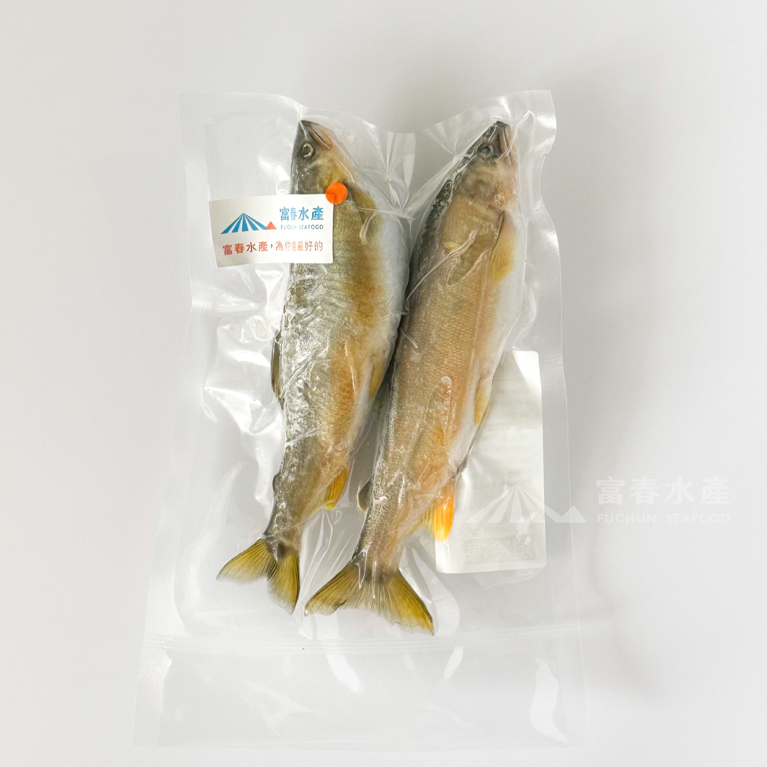 【富春抱卵母香魚-大】真空2尾入