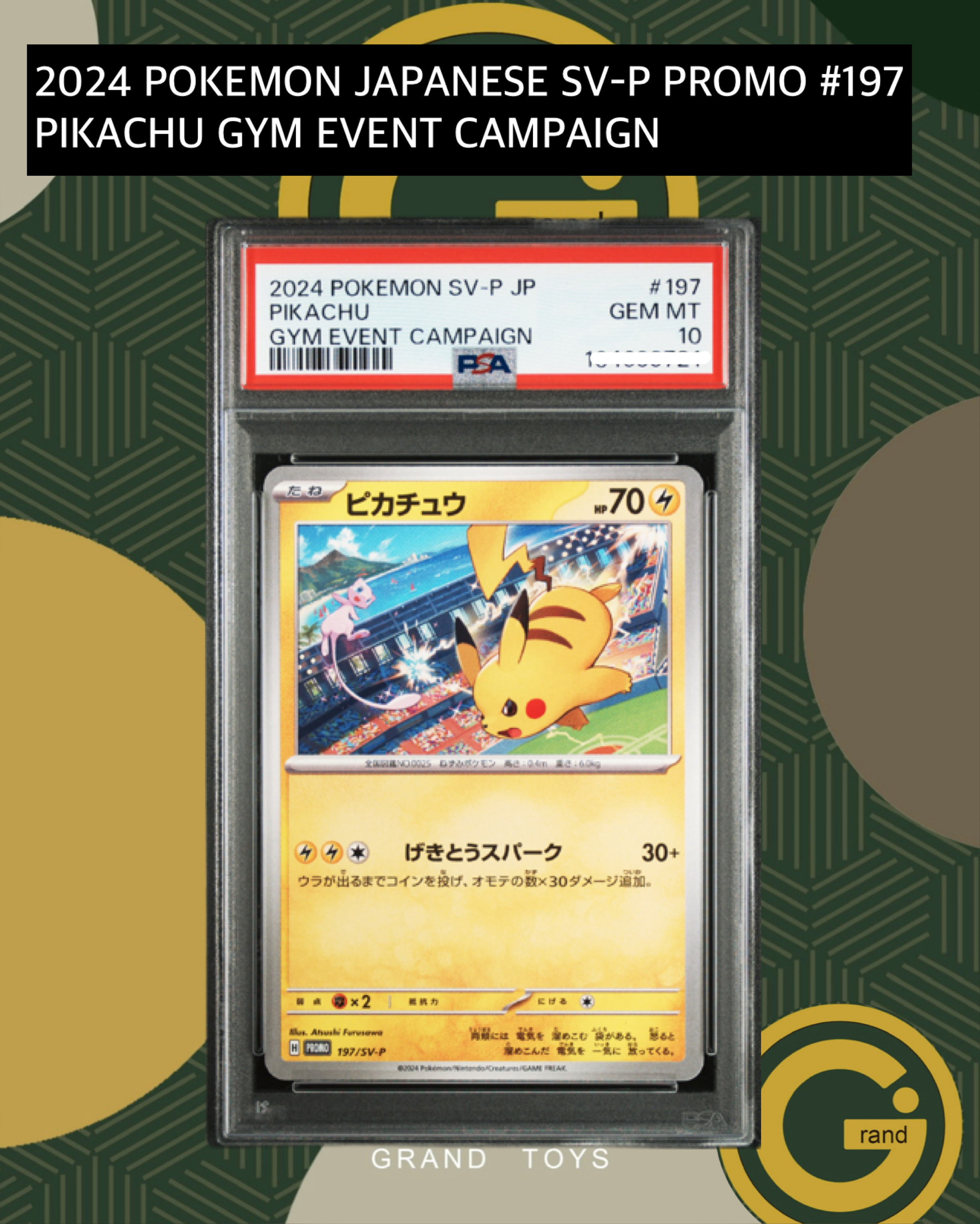 2024 POKEMON JAPANESE SV-P PROMO#197 PIKACHU GYM EVENT CAMPAIGN