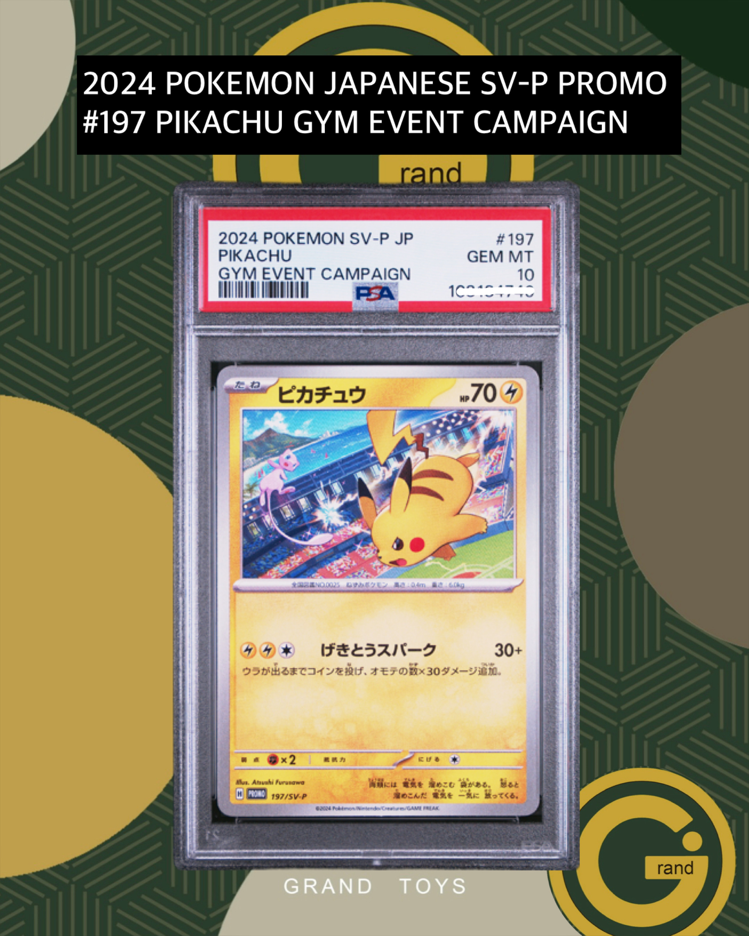 2024 POKEMON JAPANESE SV-P PROMO#197 PIKACHU GYM EVENT CAMPAIGN