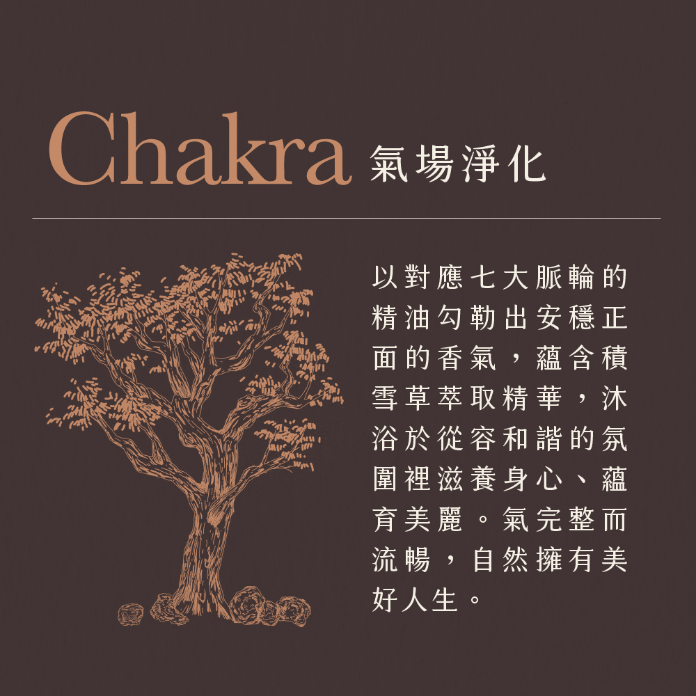 氣場淨化沐浴露500ML