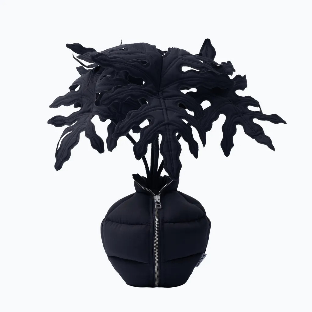 HAKKEI 天使蔓綠絨