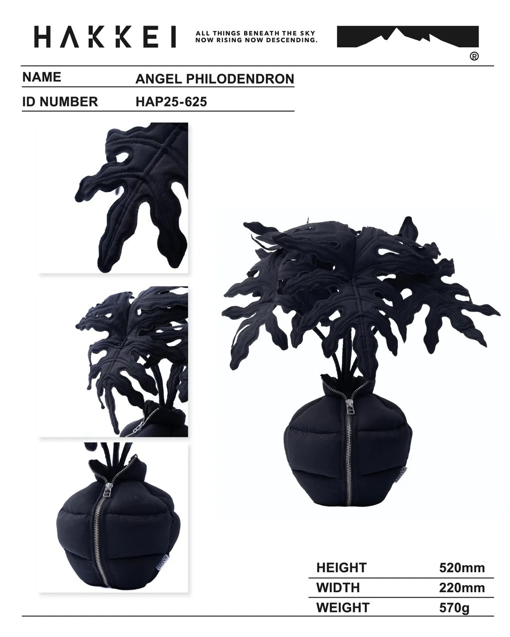 HAKKEI 天使蔓綠絨