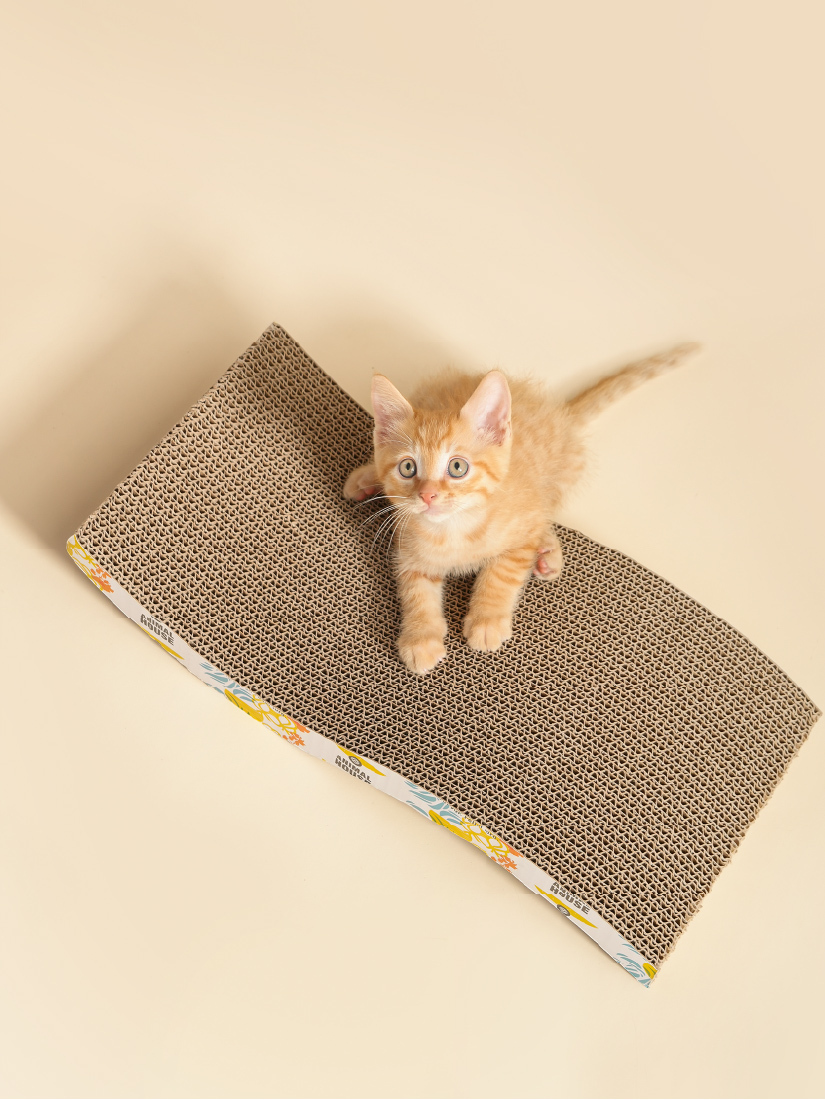 喵仙兒-流線印花貓抓板