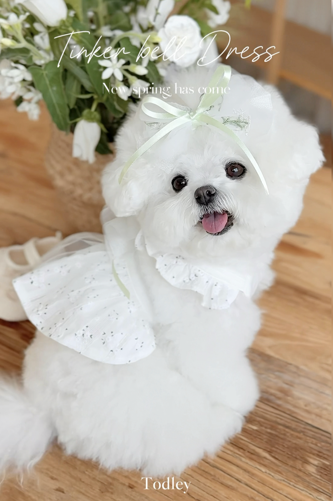 精靈洋裝（白）