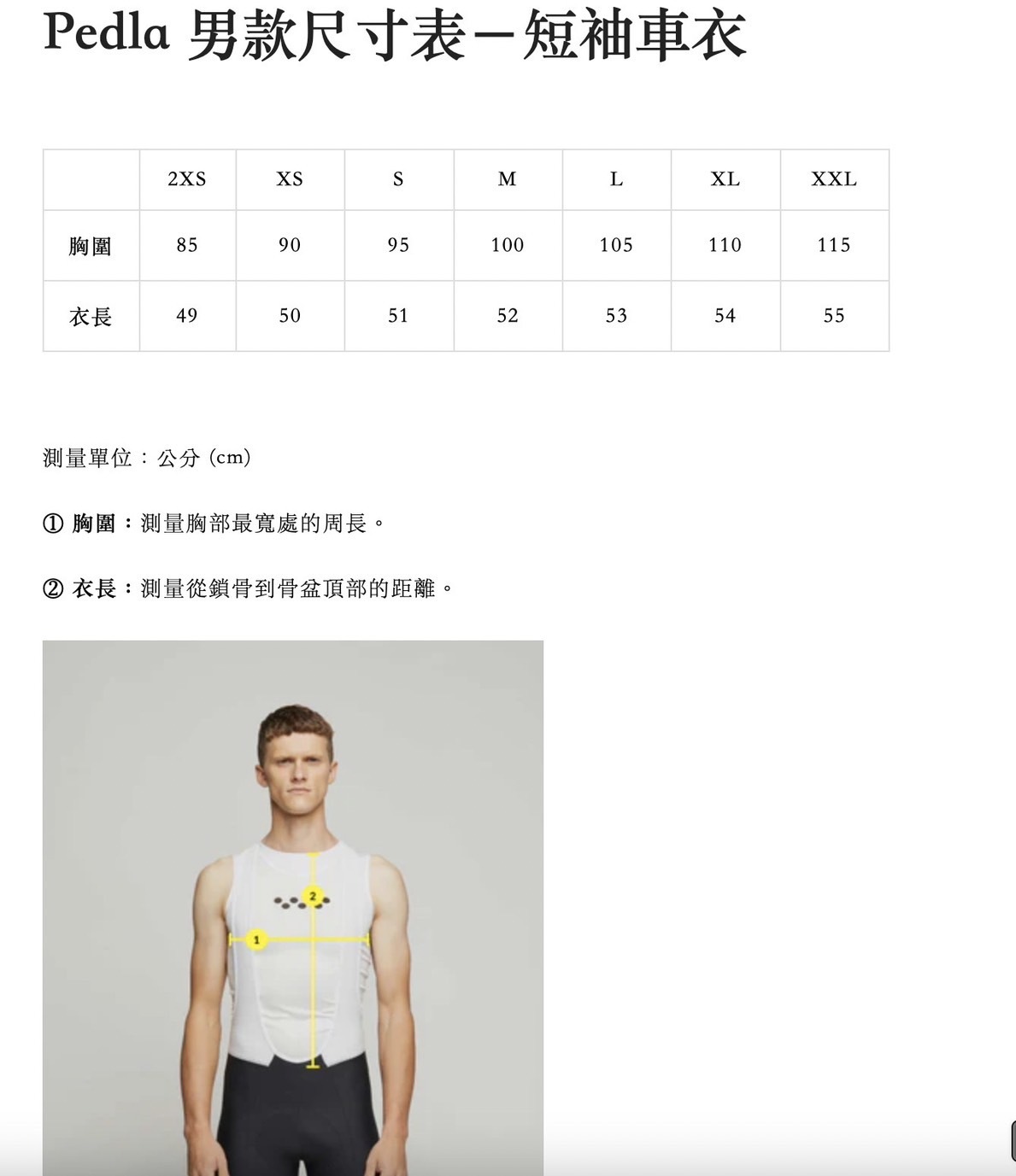 Pedla 男款車衣 Dots Climba Jersey /Mint 薄荷綠