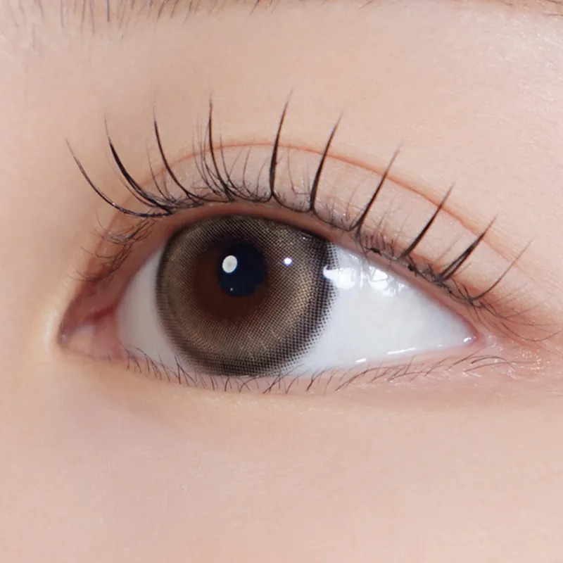 Hapa Kristin Bean Kristin 1 Day Raw Brown淺焙棕｜日拋彩妝隱形眼鏡｜每盒10片