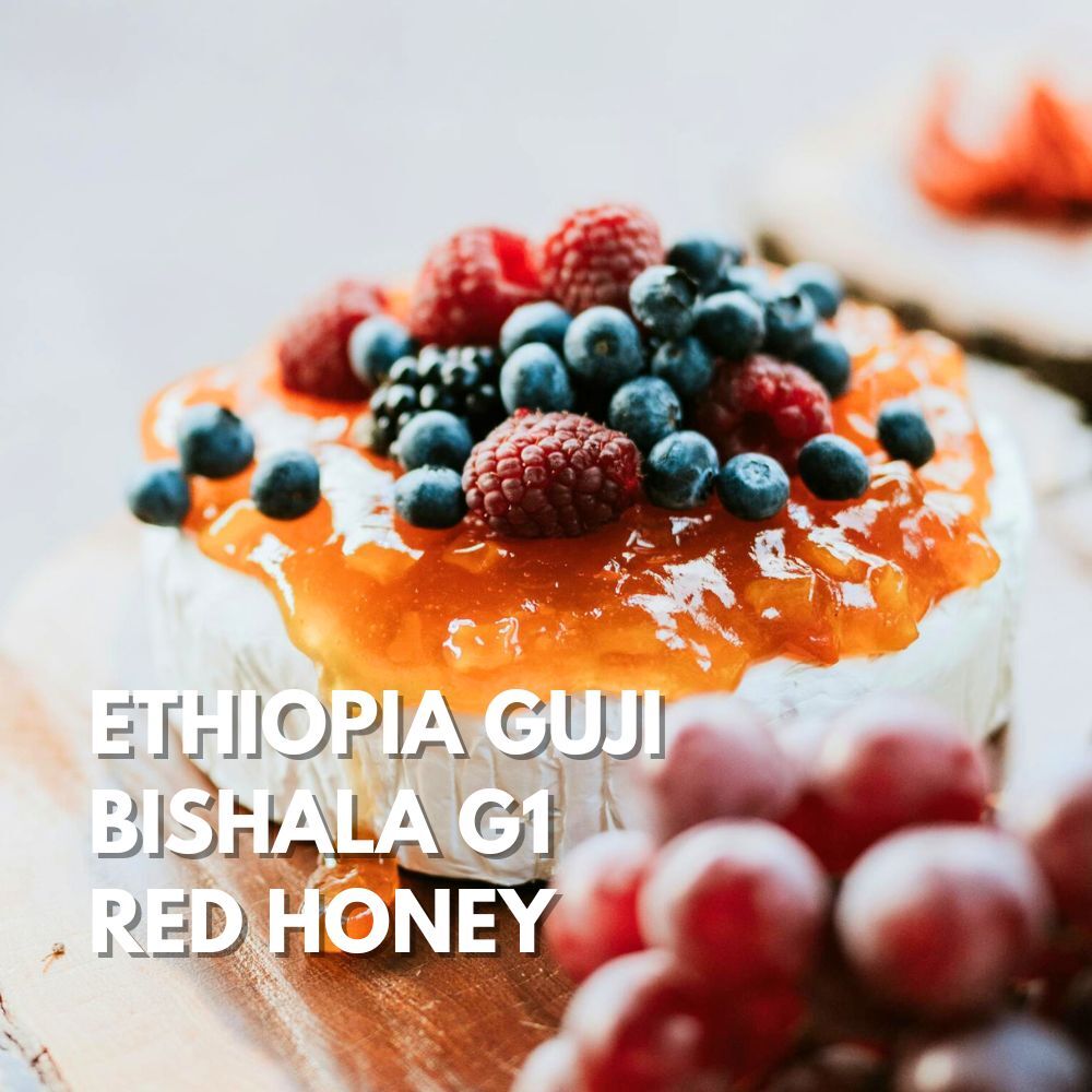 淺焙｜衣索比亞 古吉 水風鈴 G1 紅蜜處理法 咖啡豆 半磅(227g±5g)｜暖窩咖啡