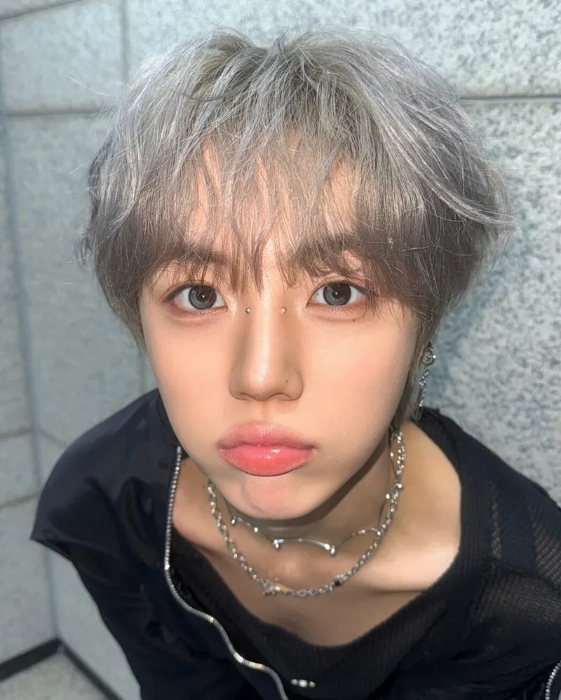 Lenbling Pureble 1 Day Ash Gray｜日拋彩妝隱形眼鏡｜每盒10片