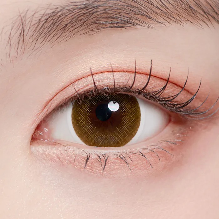 Lenstown Lighly Classic Plus 1 Day Brown｜日拋彩妝隱形眼鏡｜每盒20片