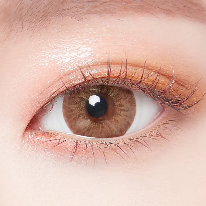 Lenstown 247 FIT 1 Day Brown｜日拋彩妝隱形眼鏡｜每盒10片