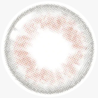 Lenstown 247 With Me 1 Day Gray｜日拋彩妝隱形眼鏡｜每盒10片