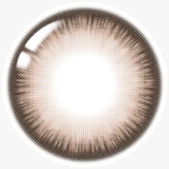 Lenstown Scotch 3color 1 Month Brown ｜月拋彩妝隱形眼鏡｜每盒2片