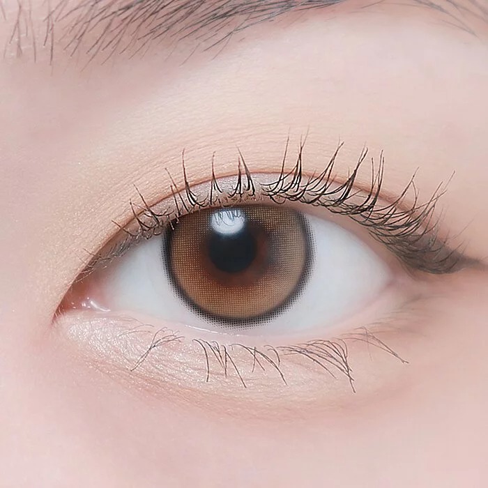 Lenstown Beloved 3Color 1 Month Royal Brown｜月拋彩妝隱形眼鏡｜每盒2片