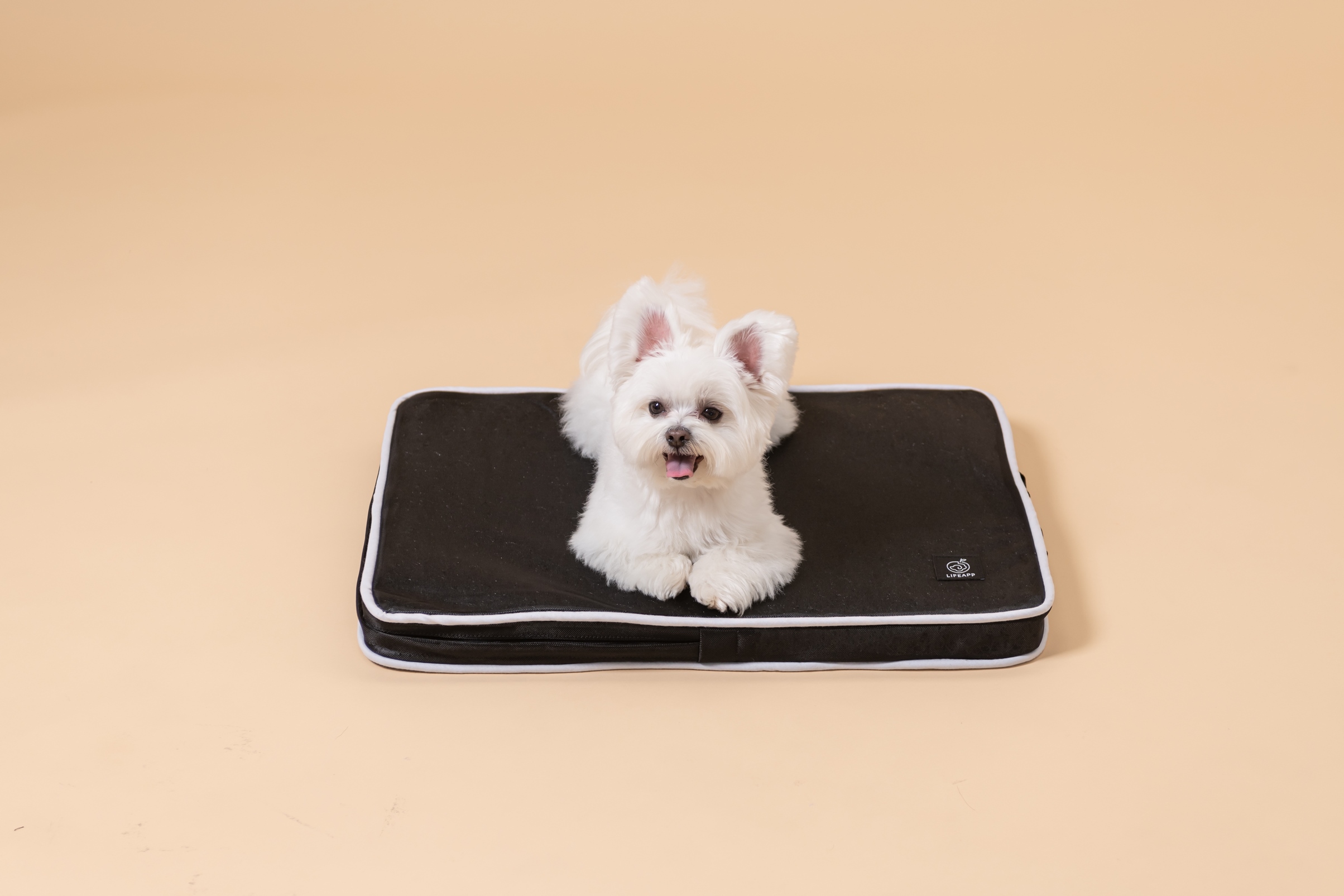 LIFEAPP 經典寵物緩壓睡墊 - M (透氣款 / 透芯涼款)