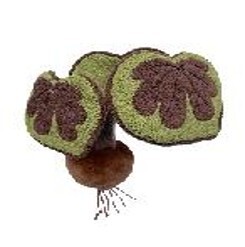 绒绒森林 美纹秋海棠