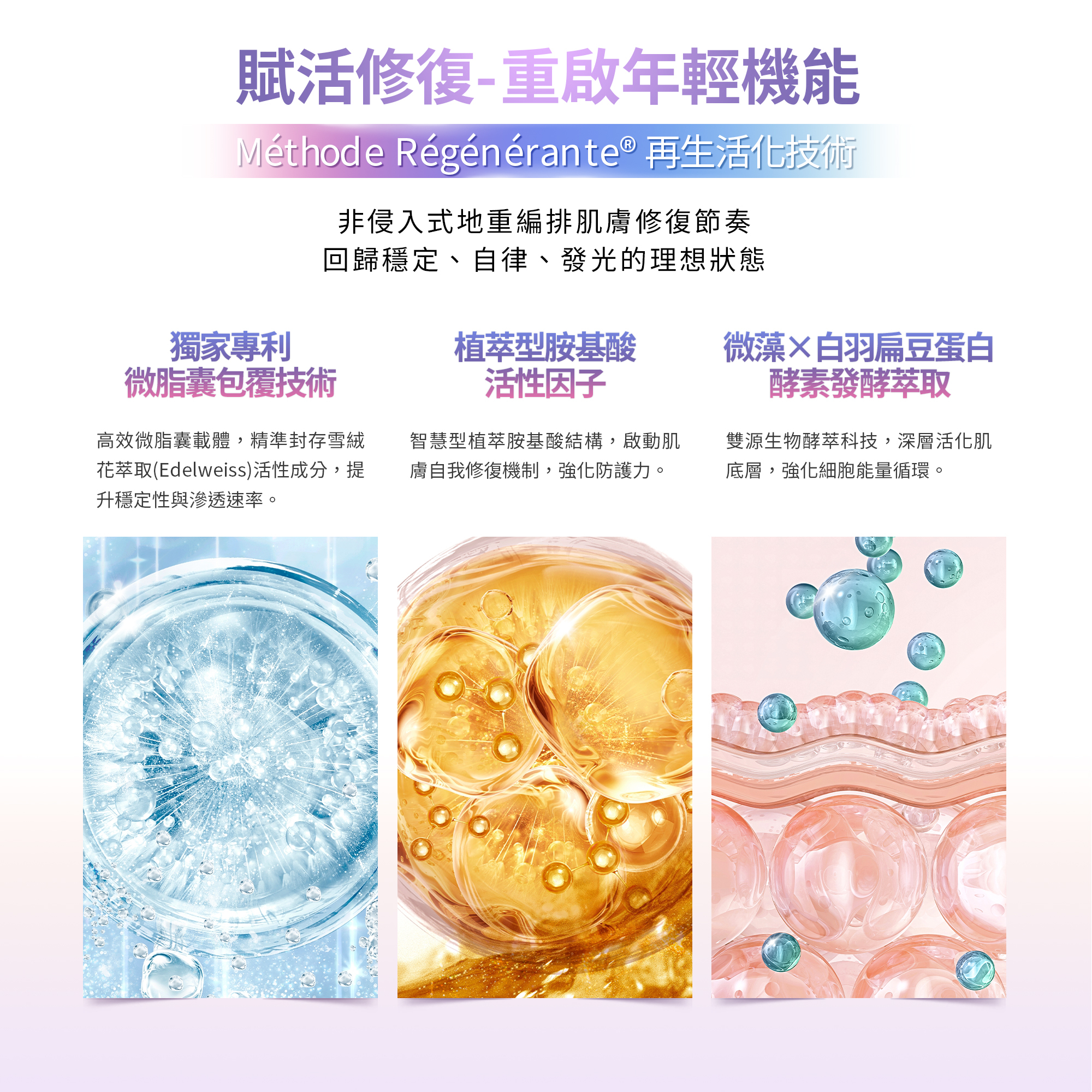 髮妝之鑰LA BIOSTHETIQUE 法國LB MR微導靈芝膠原賦活霜